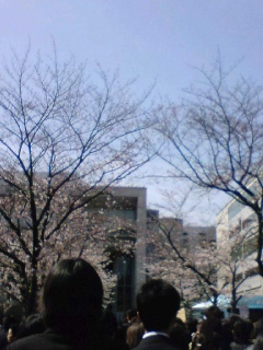 a0051443_20541699.jpg