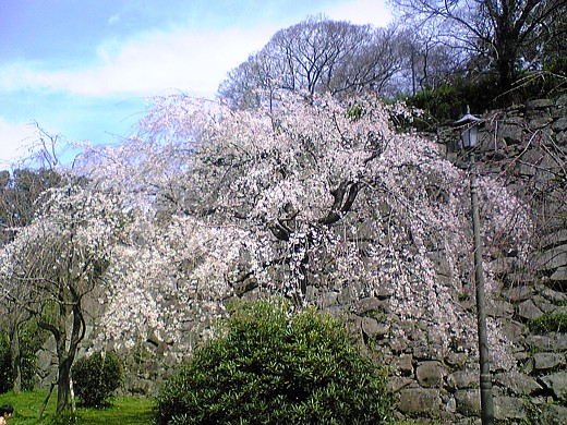 b0016043_22153078.jpg