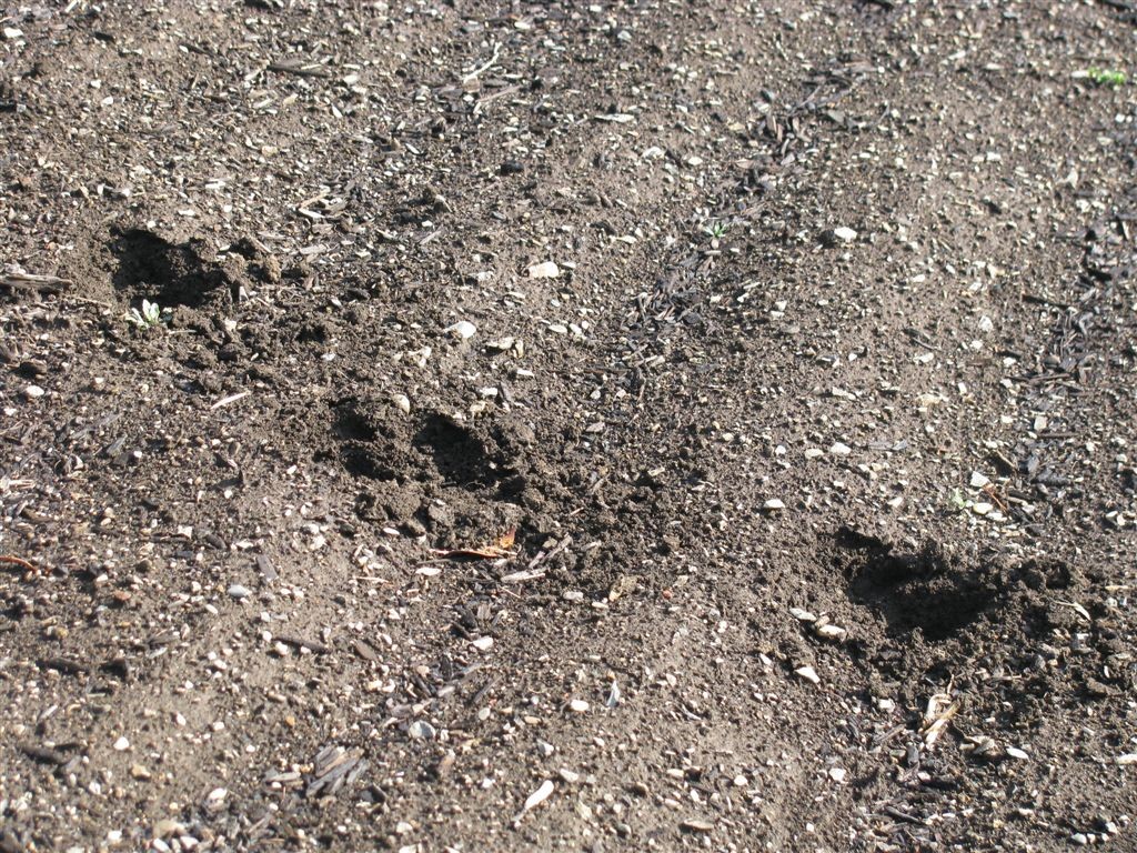 f0151044_6424349.jpg