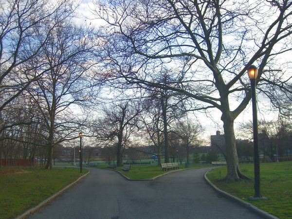 d0143848_134048.jpg