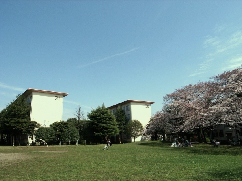 c0138553_16132222.jpg