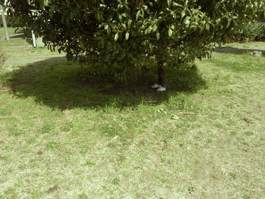 c0138553_16133276.jpg