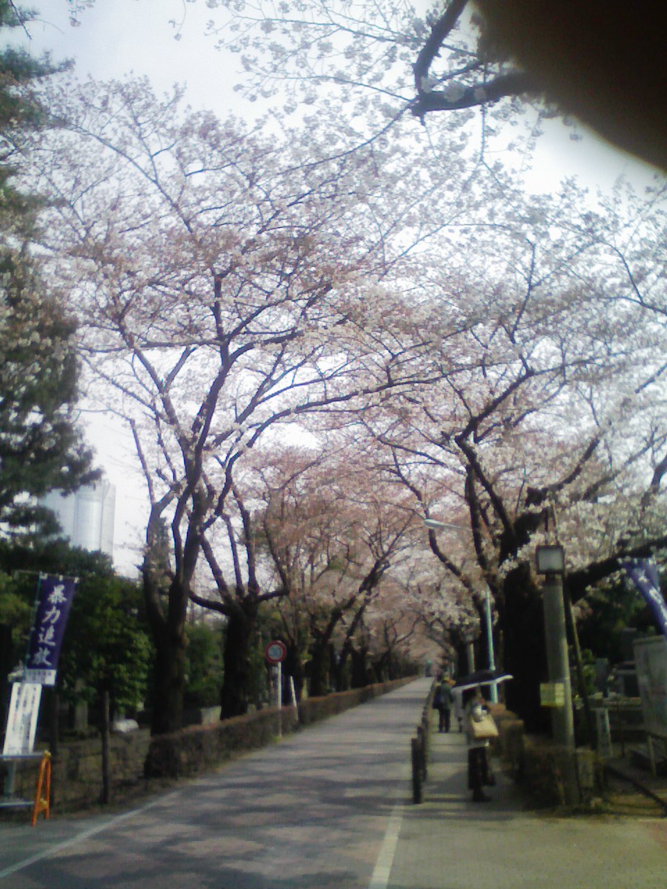 e0063653_9342152.jpg