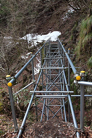 e0113053_2334354.jpg