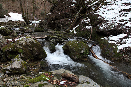 e0113053_23365190.jpg
