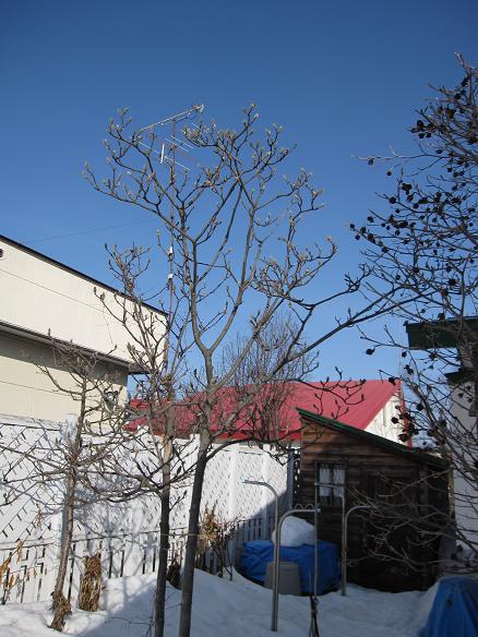 a0075455_8413520.jpg