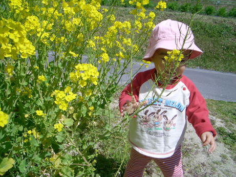 e0038355_015137.jpg