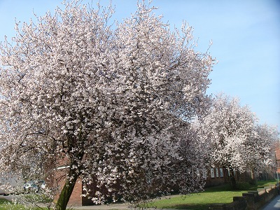 f0164058_2562852.jpg