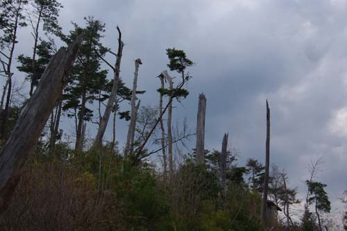 c0159960_13425279.jpg