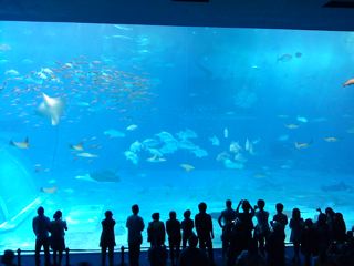 d0149460_23232569.jpg