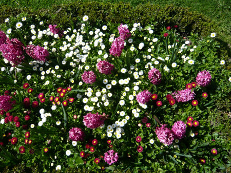d0151463_6492427.jpg