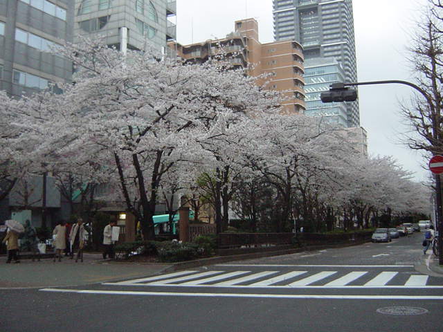 c0127366_1111429.jpg