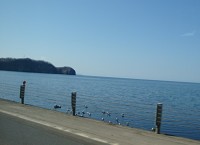 c0196468_1847667.jpg