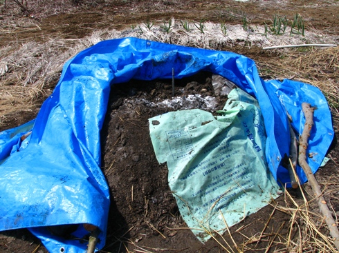 f0131768_2355139.jpg