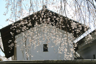 c0117570_15284291.jpg