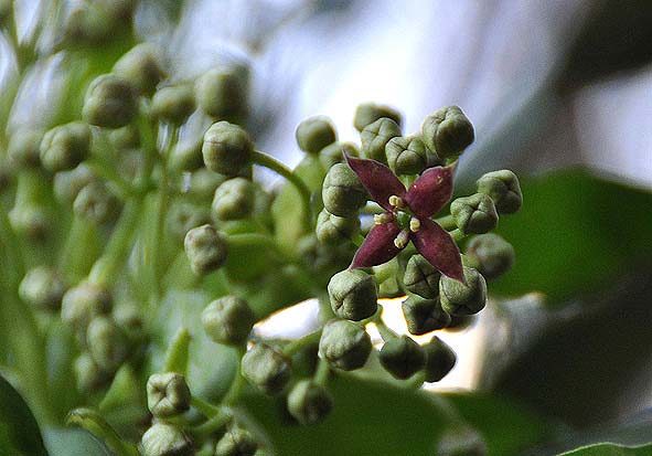 f0198771_0483130.jpg