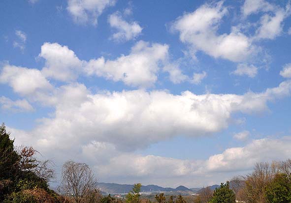 f0198771_0554162.jpg