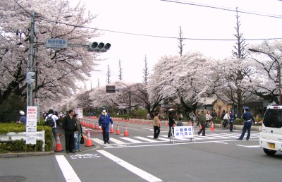 c0112172_23244492.jpg