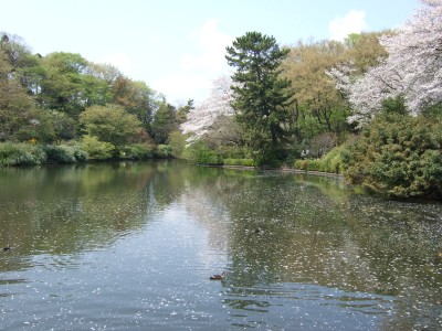 c0112172_2325367.jpg