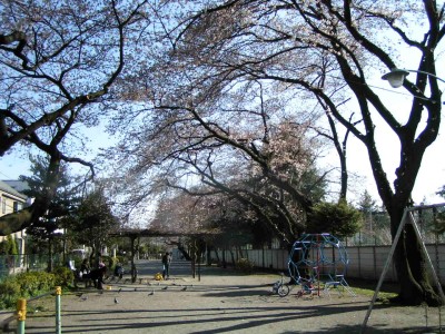 c0112172_9354048.jpg