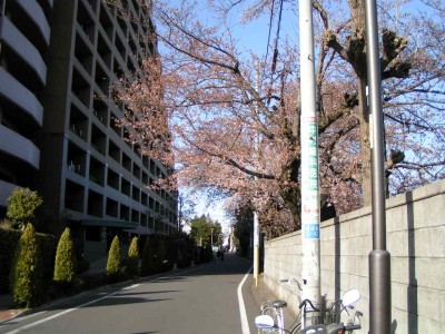 c0112172_9372320.jpg
