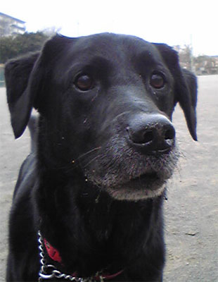 f0045872_1485674.jpg