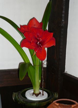 e0031673_1411841.jpg