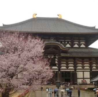 c0135480_148222.jpg