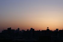 b0034381_5545510.jpg