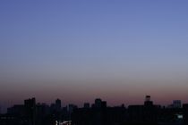 b0034381_555654.jpg