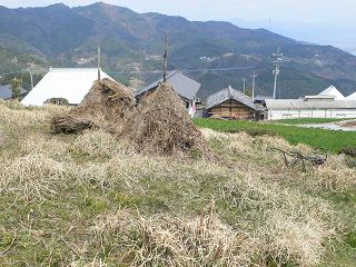 b0042882_2114431.jpg