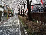 c0189683_16471891.jpg