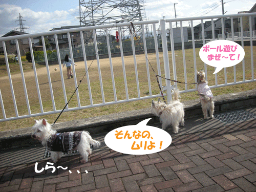 e0066883_06307.gif