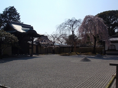 c0105785_20581093.jpg