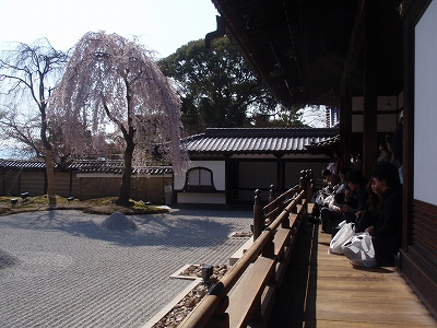 c0105785_211279.jpg