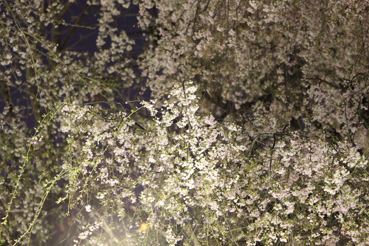 f0164989_5563779.jpg