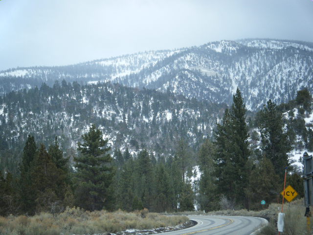 c0090390_2264255.jpg