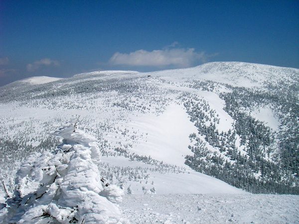 a0043193_2352671.jpg