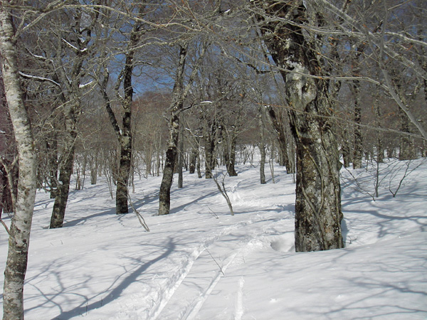 a0043193_2363043.jpg