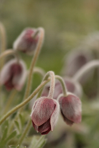 d0133693_23185849.jpg