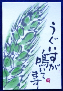 f0029393_5493088.jpg