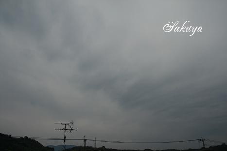 e0122194_2156324.jpg