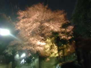 f0130894_1504424.jpg