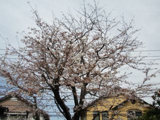 f0130894_15121353.jpg