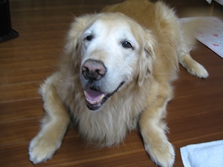a0042295_20121273.jpg
