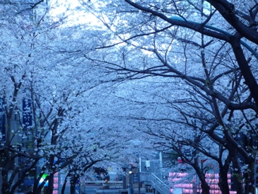 c0168096_7155961.jpg