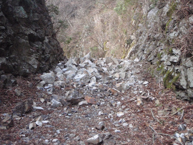 c0147398_235503.jpg