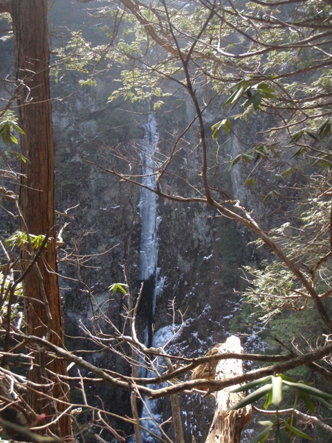 c0147398_2357134.jpg
