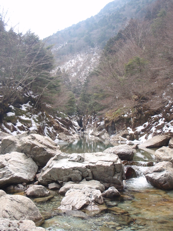 c0147398_2358242.jpg