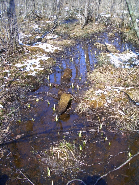 d0069498_1771055.jpg